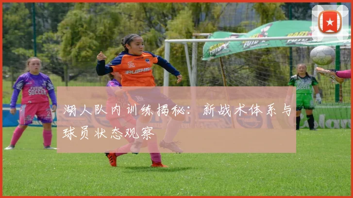湖人队内训练揭秘:新战术体系与球员状态观察